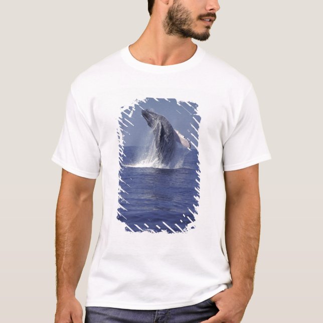 Humpback whale breaching (Megaptera T-Shirt (Front)