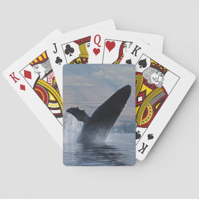 humpback whale breaching playing cards (Back)