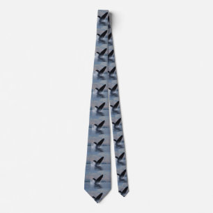 humpback whale breaching tie