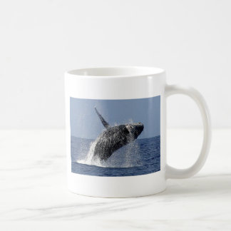 Humpback Whale Coofee Mug