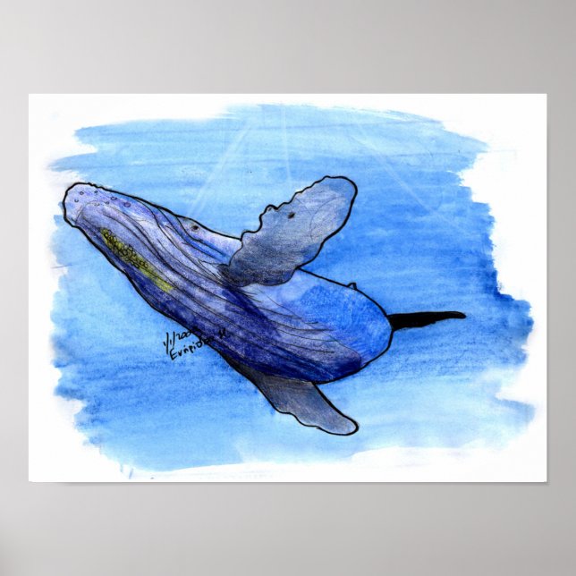 humpback whale drawing poster (Front)