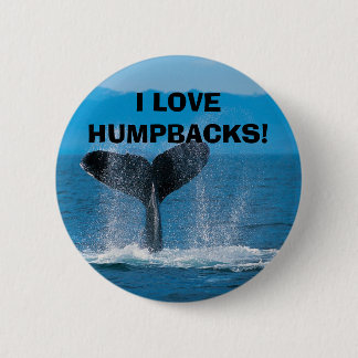 Humpback Whale, I LOVE HUMPBACKS! 2 Inch Round Button