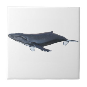 Humpback Whale in Profile Tile
