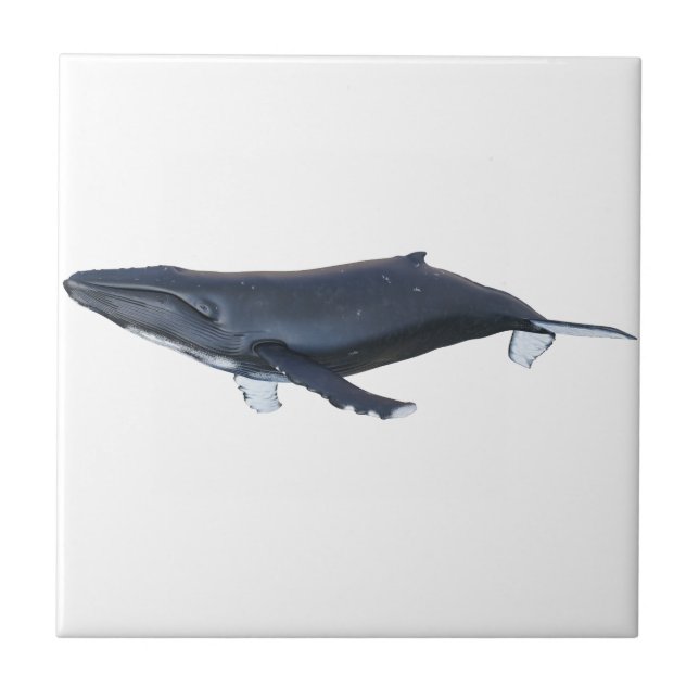Humpback Whale in Profile Tile (Front)