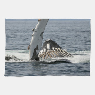 Humpback Whale Kitchen Towel