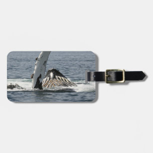Humpback Whale Luggage Tag