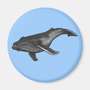humpback whale magnet