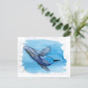 Humpback whale marine animal drawing illustration  postcard