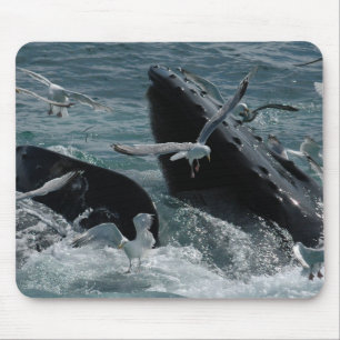 Humpback Whale Mouse Pad
