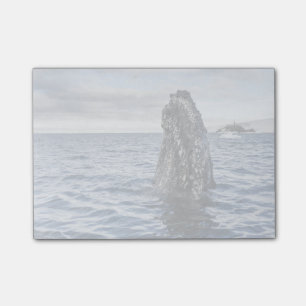 Humpback Whale Spyhops Hope Bay, Antarctica Post-it Notes