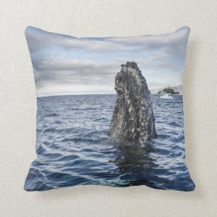 Humpback Whale Spyhops   Hope Bay, Antarctica Throw Pillow
