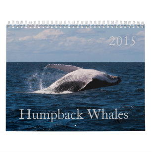 Humpback Whale Surfers Paradise Pacific Ocean Calendar