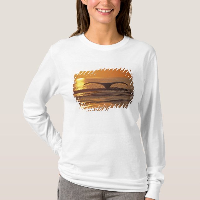 Humpback whale T-Shirt (Front)