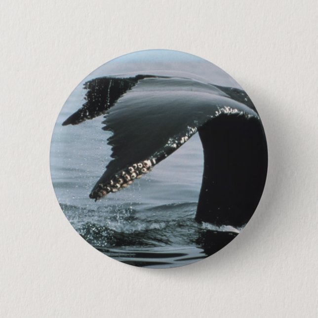 Humpback Whale Tail 2 Inch Round Button (Front)