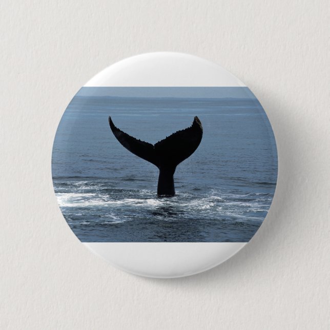 Humpback whale tail 2 inch round button (Front)