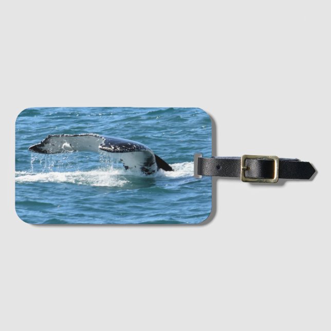 HUMPBACK WHALE TAIL & FISH QUEENSLAND AUSTRALIA LUGGAGE TAG (Front Horizontal)