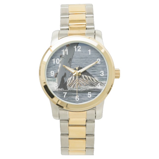 Humpback Whale Watch (Front)