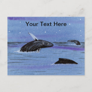 Humpback Whales Postcard