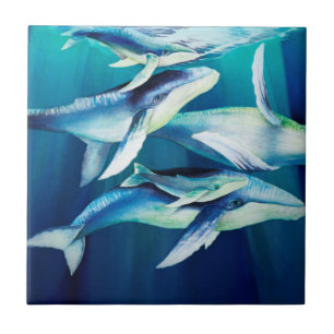 Humpback Whales Tile