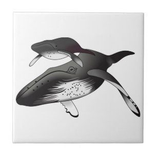 Humpback Whales Tile