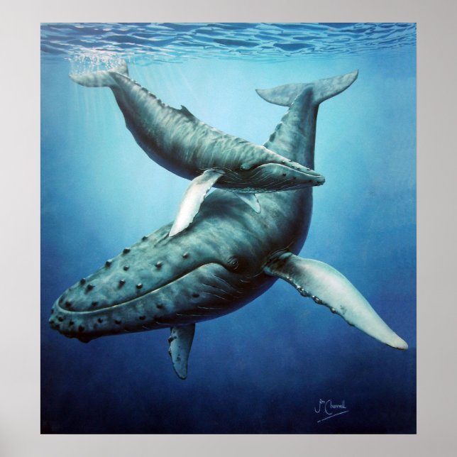 Humpbacks 'Serenity' Mother & Calf -Canvas print (Front)