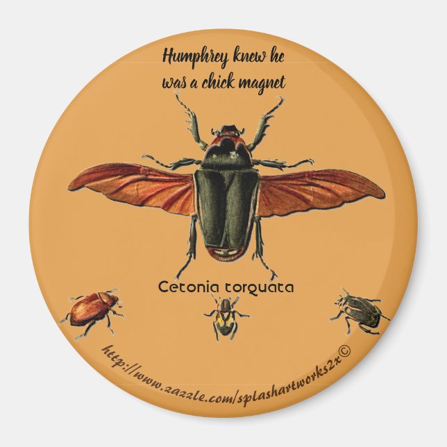 "Humphrey knew he was a chick magnet" Magnet (Front)