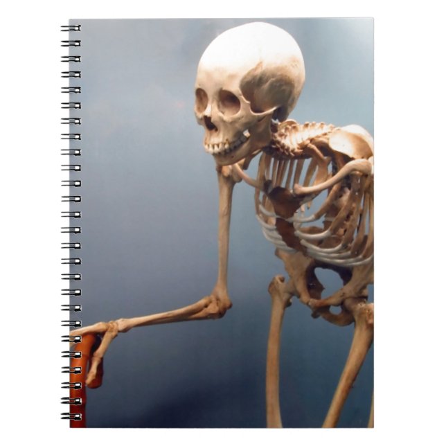 Hunchback Skeleton Notebook (Front)