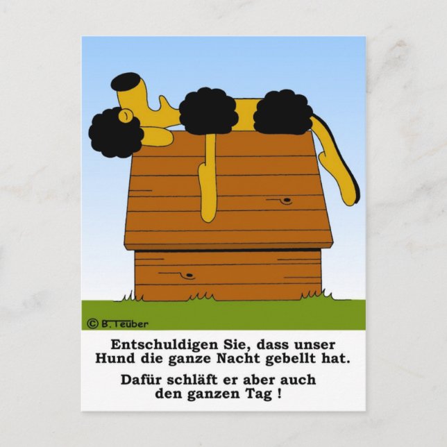 Hund schläft auf Hütte Postcard (Front)