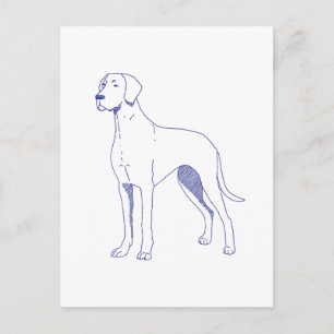 Hunderasse Deutsche Dogge Postcard