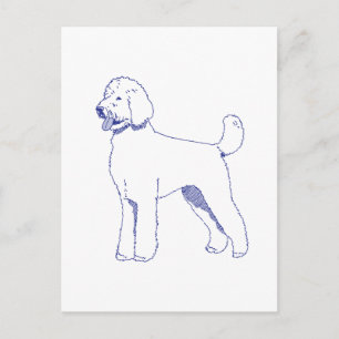 Hunderasse Goldendoodle Postcard