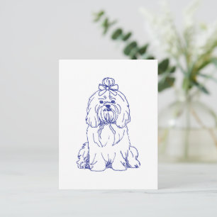 Hunderasse Shih Tzu Postcard