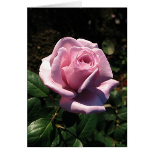 Hungarian-Boldog születésnapot