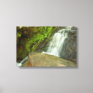 Hungarian Falls Mossy Forest Cascade Canvas Print