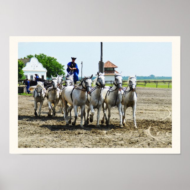 Hungarian horse riding poster (Front)