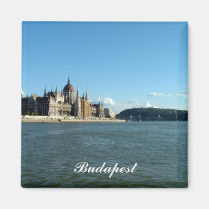 Hungarian Parliament and the Danube Magnet