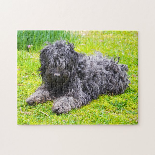 Hungarian Puli Dog. Jigsaw Puzzle (Horizontal)