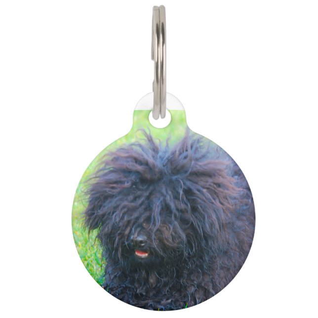 Hungarian Puli Dog. Pet Tag (Front)
