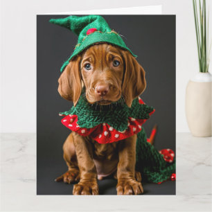 Hungarian Vizla Elf Puppy Christmas Card 