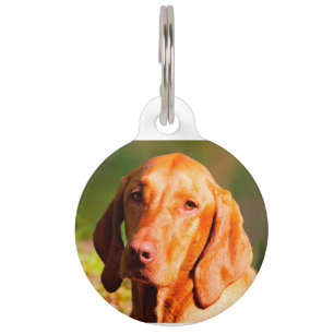 Hungarian Vizla Pet Tag