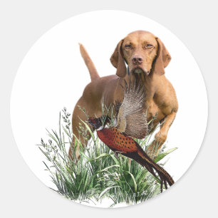 Hungarian Vizsla Art Classic Round Sticker