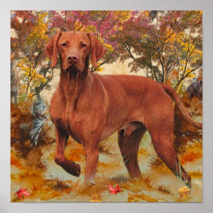 Hungarian Vizsla art  Throw Pillow Glass Coaster C Poster