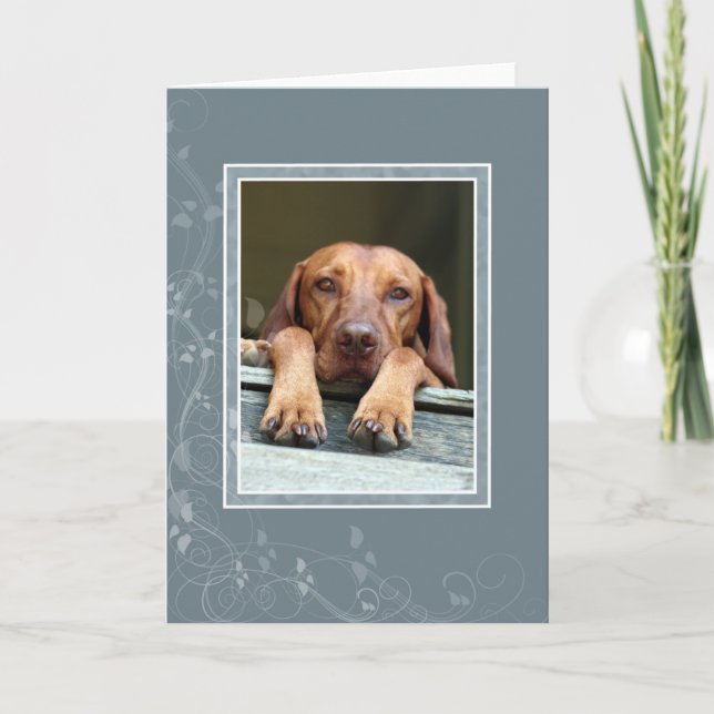 Hungarian Vizsla Blank Card 002 (Front)