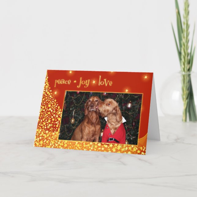 Hungarian Vizsla Christmas Card 012 (Front)