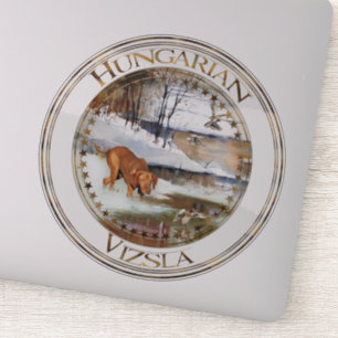 Hungarian Vizsla, hunting ducks in winter