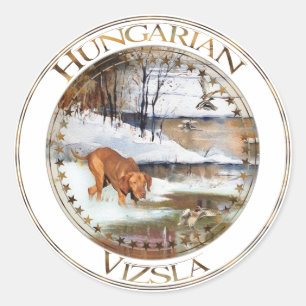 Hungarian Vizsla, hunting ducks in winter      Classic Round Sticker