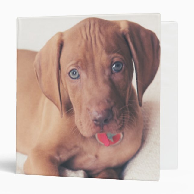 Hungarian Vizsla Puppy Binder (Front/Inside)