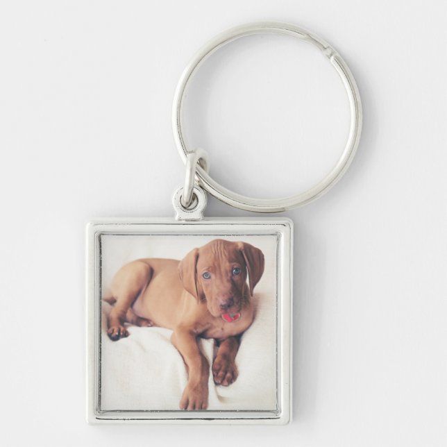 Hungarian Vizsla Puppy Keychain (Front)