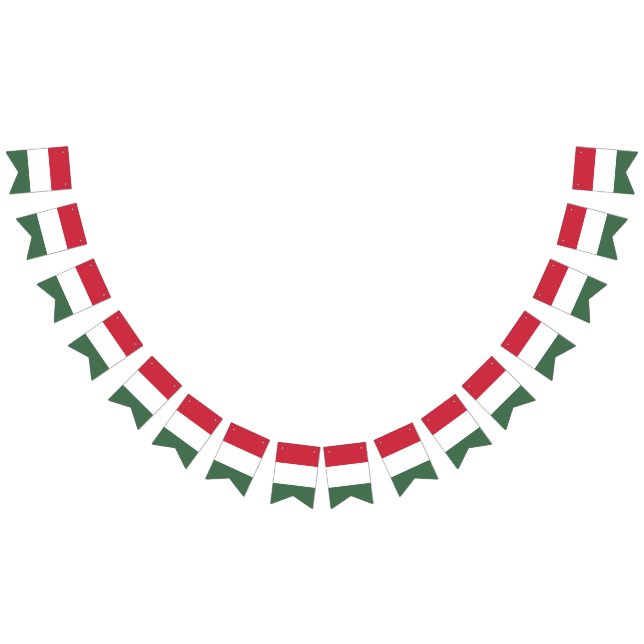 Hungary Flag (All)