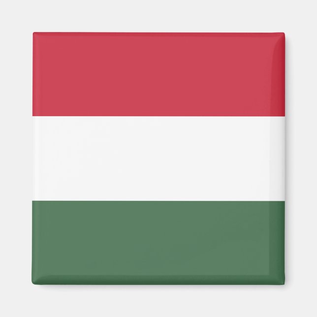 Hungary Flag Magnet (Front)