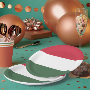 Hungary flag paper plate